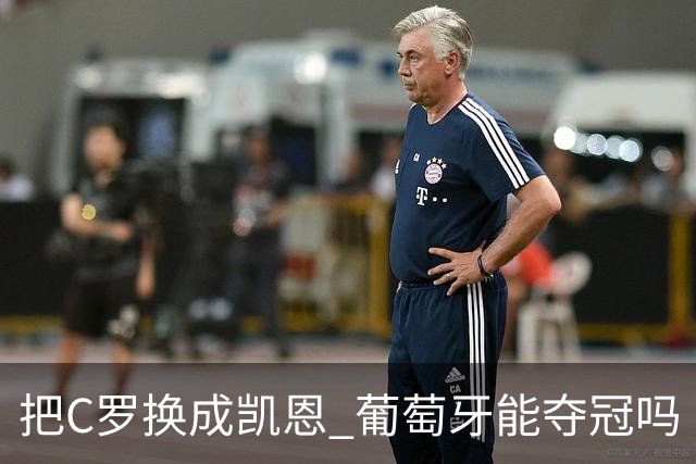 把C罗换成凯恩 葡萄牙能夺冠吗